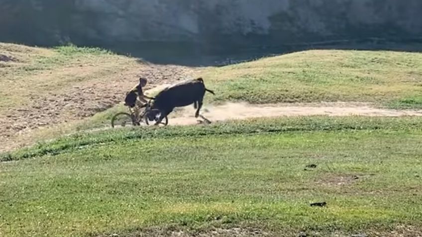 Toro embiste brutalmente a un ciclista en un camino de terracería en California | VIDEO