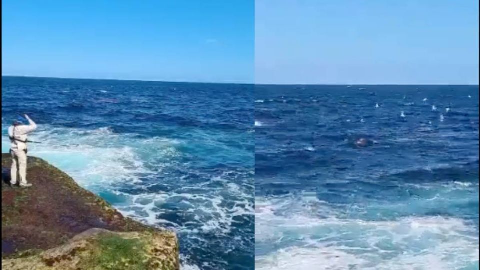 El ataque del tiburón fue grabado en video. Foto: Especial