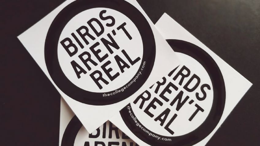 ¿Las aves no son reales? Teoría conspirativa se hace viral, te explicamos