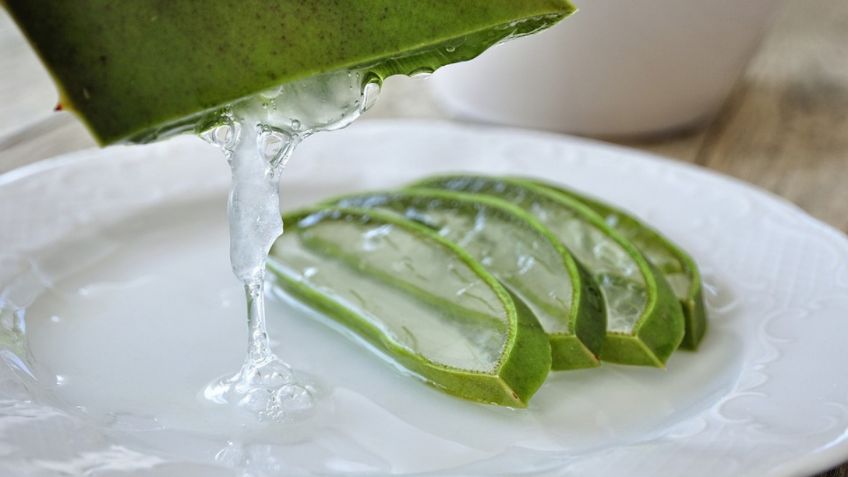 3 formas de preparar aloe vera para bajar de peso rápido