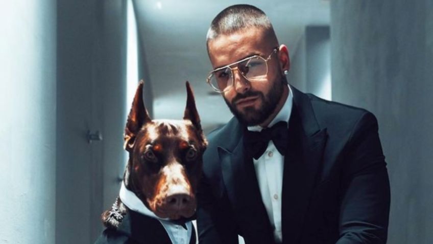 Maluma sufre ataque de su perro Buda en el rostro y muestra las heridas | VIDEO