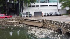 Laguna de las Ilusiones, a la espera de rescate