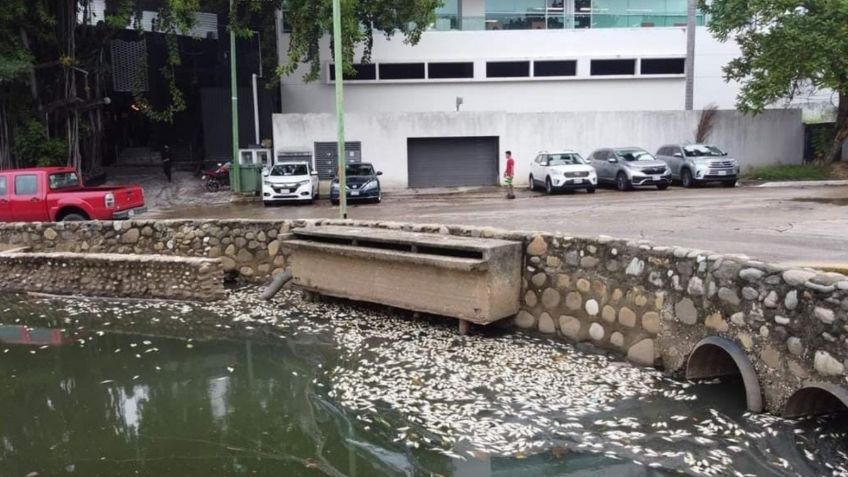 Laguna de las Ilusiones, a la espera de rescate