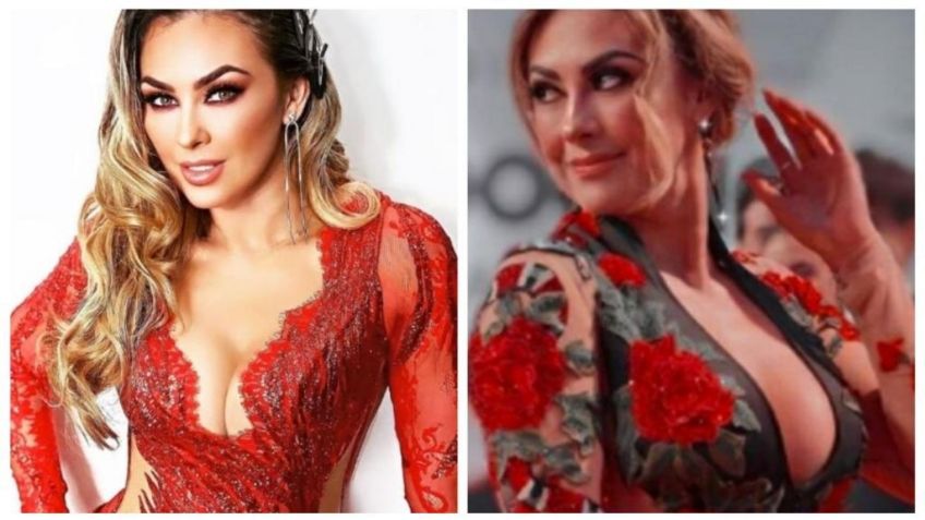 Aracely Arámbula enamora en redes con ATREVIDO outfit al estilo Pin-up: FOTO