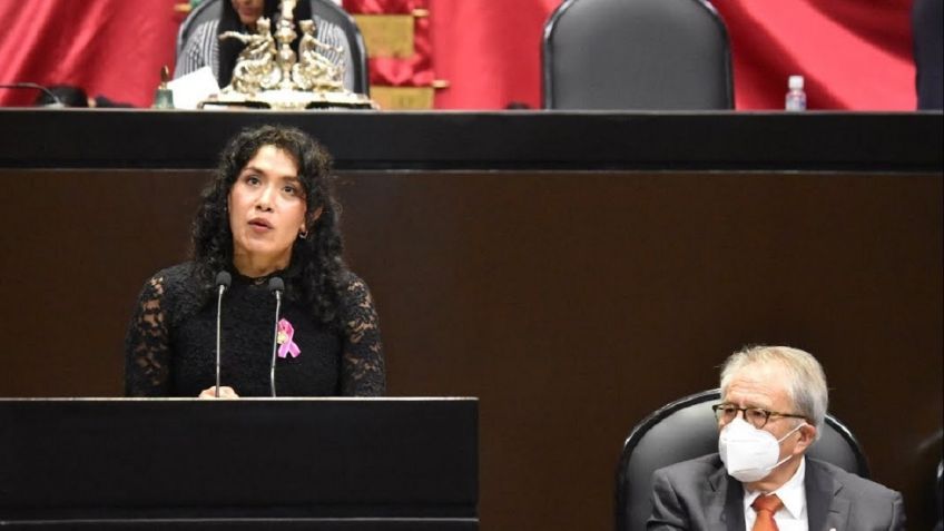 Murió a los 32 años la Dra. Celeste Sánchez Romero, diputada federal del PT