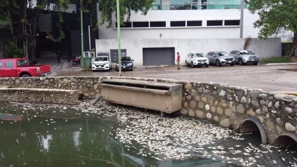 Aunque las autoridades anunciaron un proyecto para salvar la Laguna de las Ilusiones, éste no se aplica todavía. (Foto: Especial)