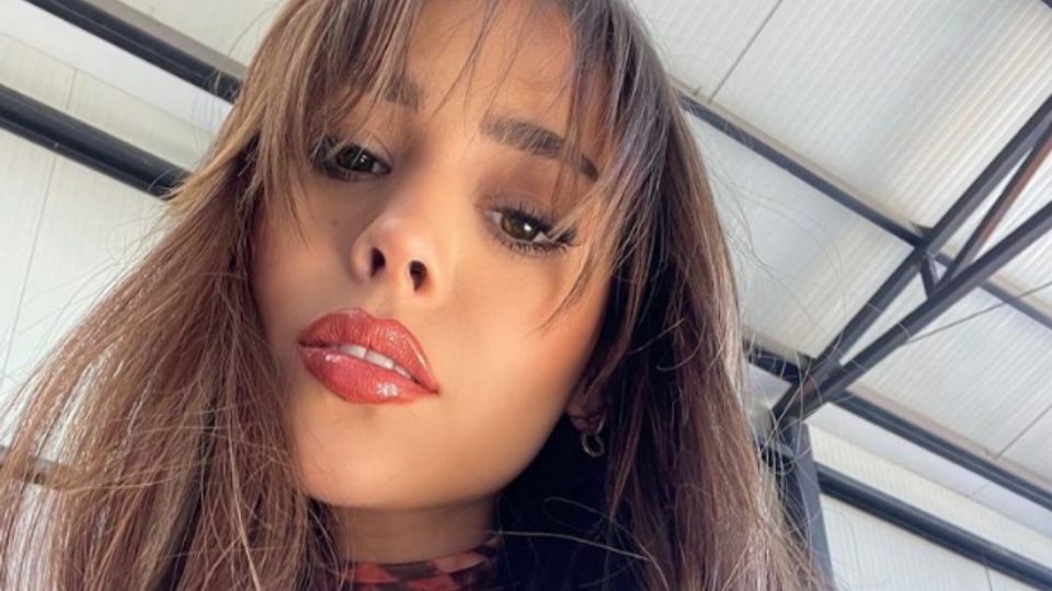 Danna Paola empezó este año descubriéndose como artista y reinventándose (Foto: Instagram @dannapaola)