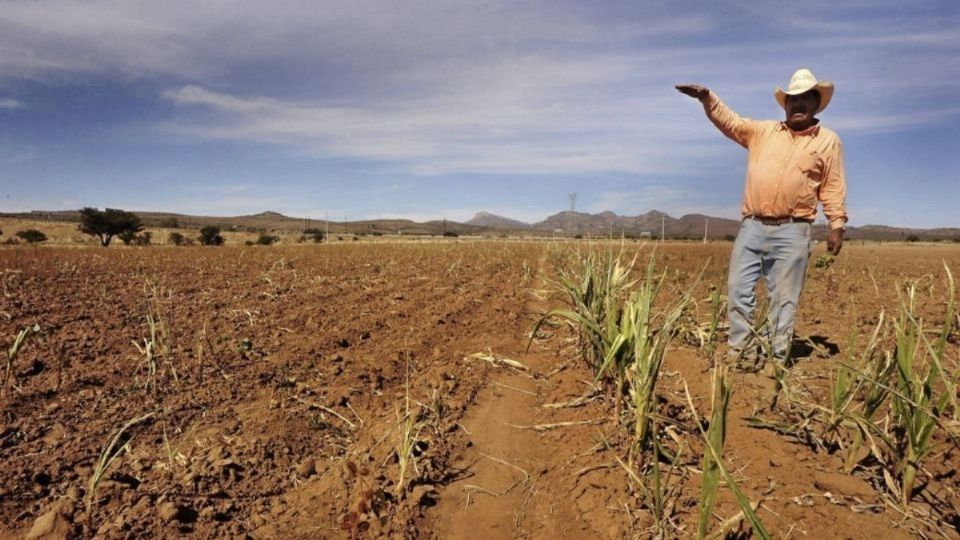 Las autoridades de Tamaulipas señalaron que padecen una de las peores sequías de los últimos 10 años. Foto: Archivo