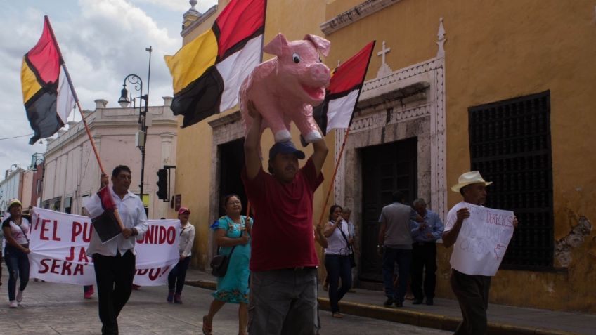 Pobladores de Homún, Yucatán, se oponen a reapertura de megagranja de cerdos; temen por su salud