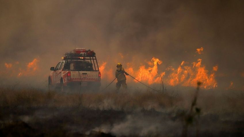 Incendios forestales aumentarán en el mundo, advierte la ONU