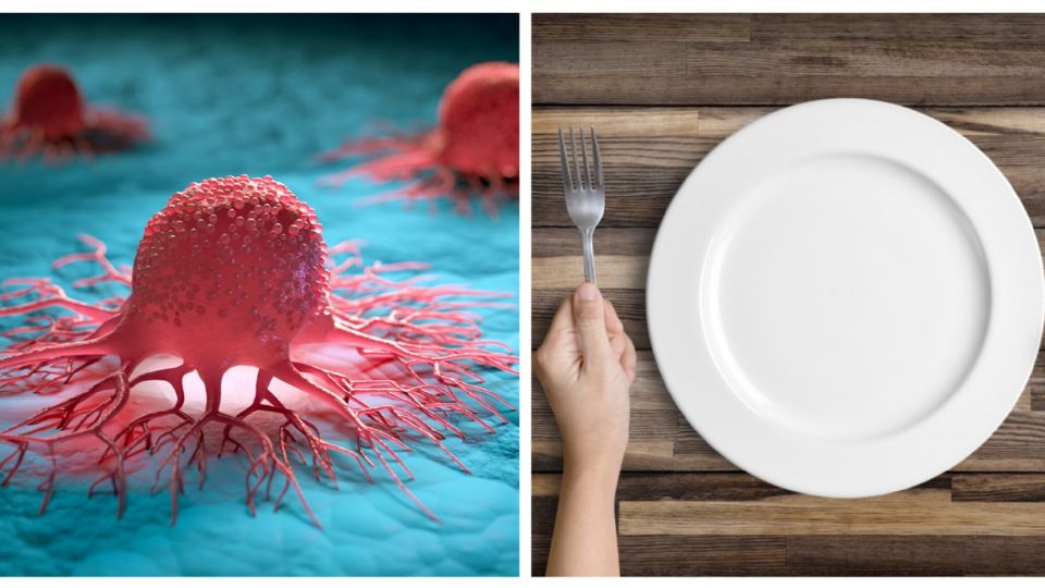 Este alimento puede causar obesidad y cáncer 
FOTO: Especial