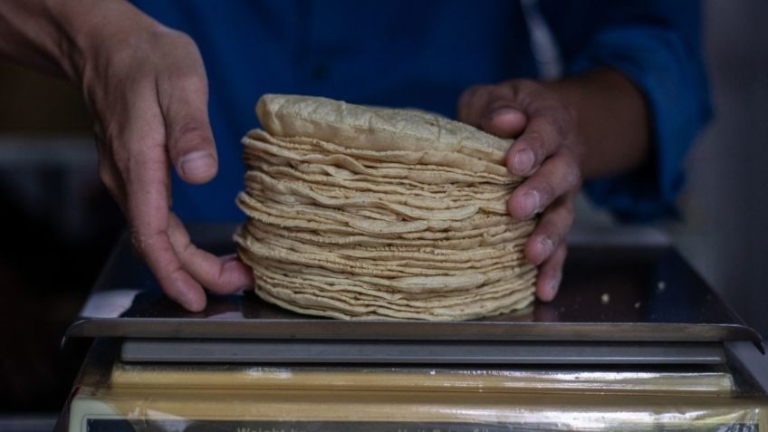 Detectan tortillas 'pirata' en Durango, Coahuila y Sinaloa