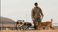 Estados Unidos realiza pruebas con 'perros robot' para patrullar frontera con México