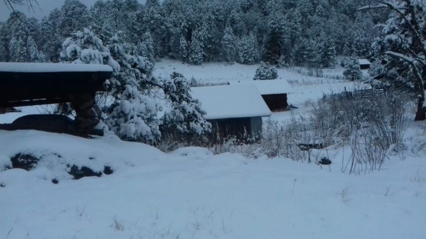 Protección Civil de Durango reporta nevadas en 24 comunidades de 5 municipios