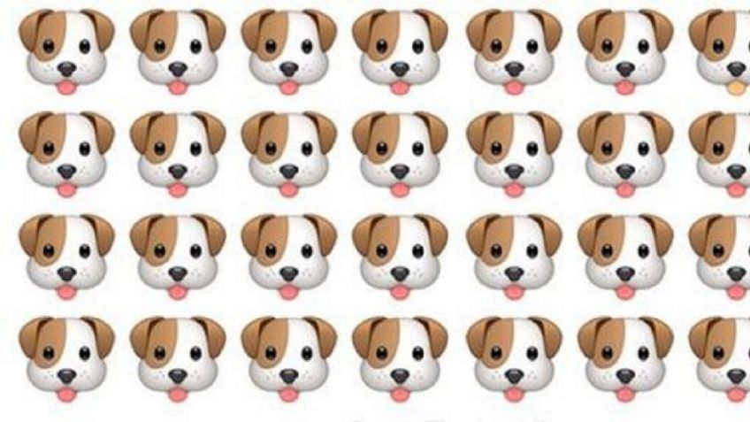 TEST visual: Encuentra el perrito diferente en 5 segundos; sólo 1 de cada 10 lo logra