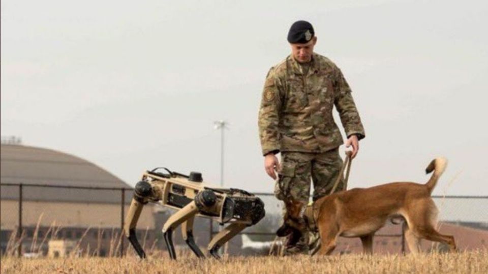 TECNOLOGÍA. Las unidades de EU operan como 'drones de cuatro patas' y sirven para reforzar la vigilancia (Foto: Especial)