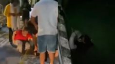 Yucatán: Así fue el heroico rescate de una perrita que cayó de un muelle en Chetumal | VIDEO