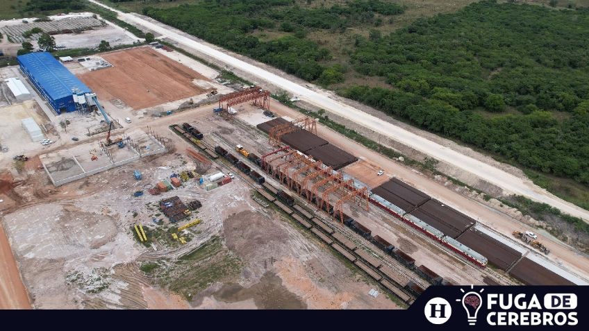 Tren Maya: ¿Un proyecto de infraestructura o de destrucción?