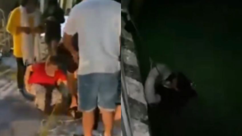 Yucatán: Así fue el heroico rescate de una perrita que cayó de un muelle en Chetumal | VIDEO