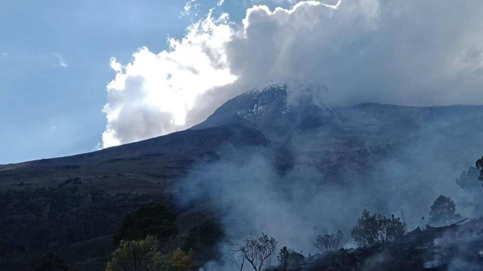 Incendio consume 70 hectáreas en el Pico de Orizaba; ha sido controlado un 90% (Foto: Especial)