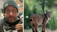 Fotógrafo coloca cámara en medio del bosque para captar un lince y descubre algo más aterrador