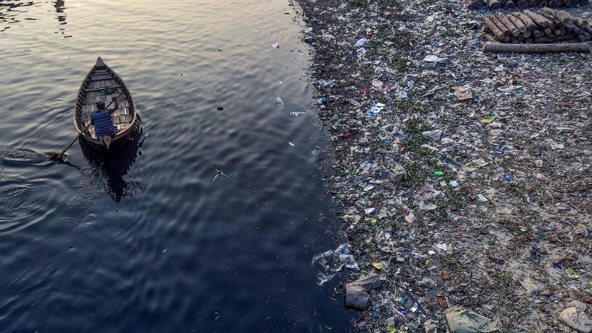 Residuos plásticos afectan al 88% de las especies marinas