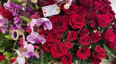 ¡Las rosas ya están listas para el 14 de febrero! Productores garantizan abasto de flores para este día del amor