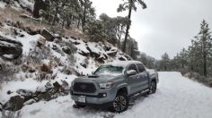 Intensa nevada golpea al Parque Nacional Cofre de Perote; restringen su acceso