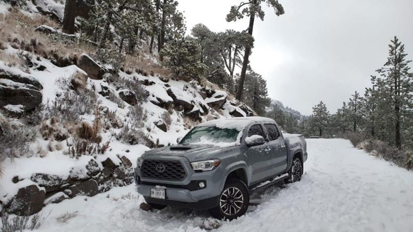 Intensa nevada golpea al Parque Nacional Cofre de Perote; restringen su acceso