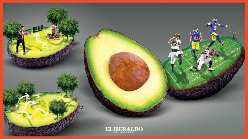 Tras salir de Uruapan, los aguacates pasan por Guanajuato y San Luis P. (Foto: El Heraldo de México)