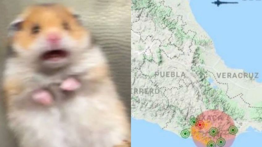 Sismo en CDMX: Estos son los mejores MEMES que dejó el temblor de 5.2 grados en Oaxaca