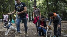 Can Fest 2022 CDMX: ¿Dónde puedo esterilizar gratis a mi mascota?