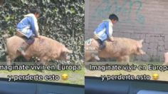 Imagínate vivir en Europa y perderte al niño montando un puerquito a toda velocidad | VIDEO