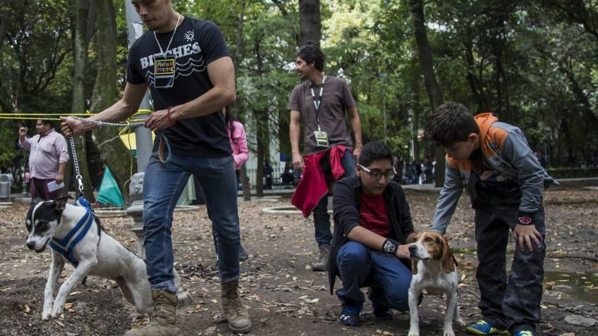 Can Fest 2022 CDMX: ¿Dónde puedo esterilizar gratis a mi mascota?