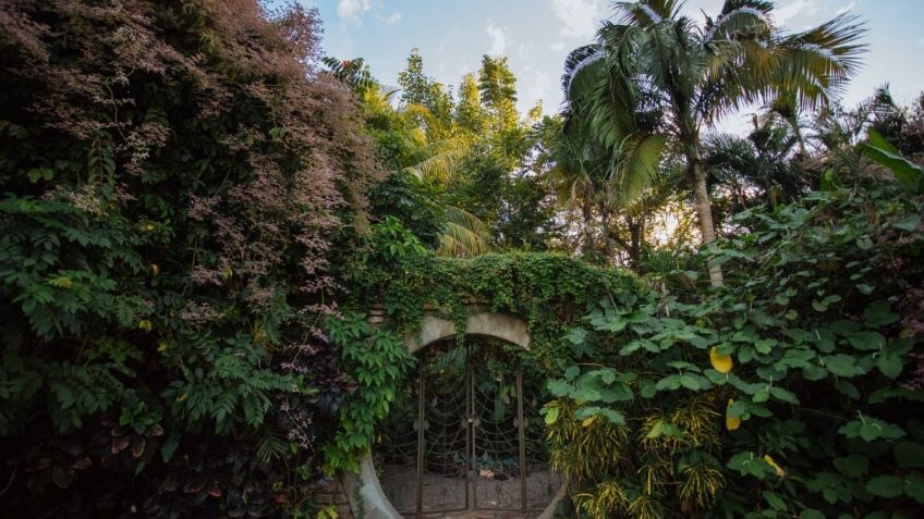 El Jardín Botánico Culiacán, uno de los 7 lugares más bonitos del mundo