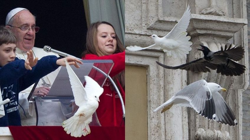 La vez que el papa Francisco soltó dos palomas por la paz en Ucrania y fueron atacadas | FOTOS y VIDEO