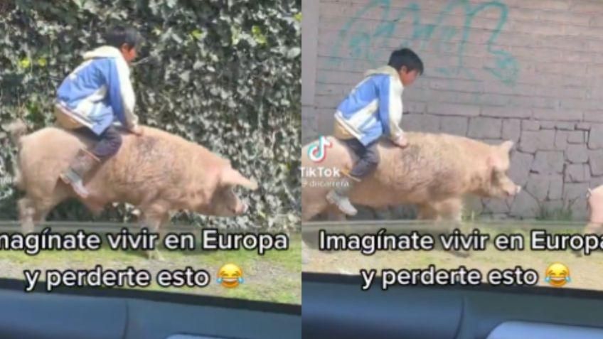 Imagínate vivir en Europa y perderte al niño montando un puerquito a toda velocidad | VIDEO