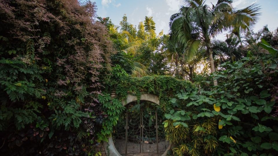 Jardín Botánico Culiacán