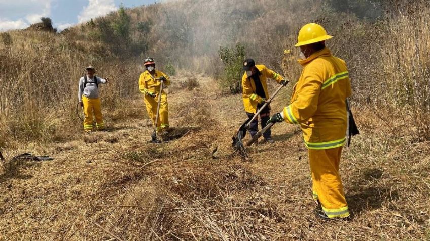 Alcaldía Álvaro Obregón supervisa trabajos de prevención de incendios forestales