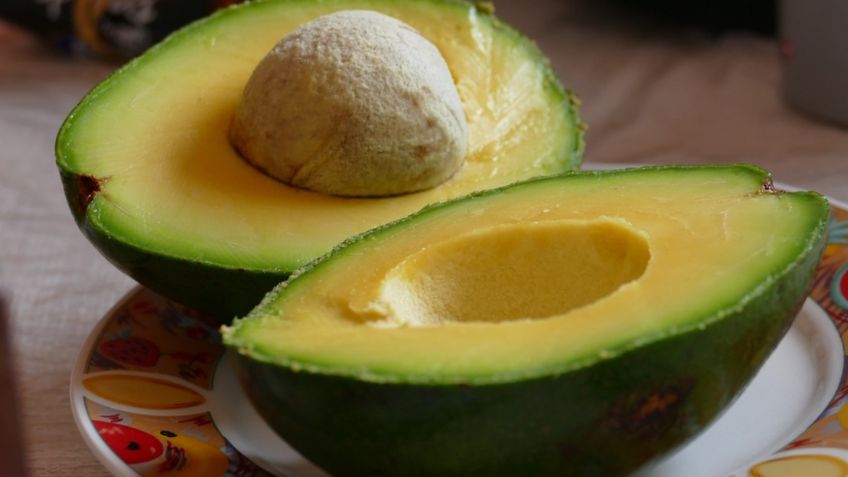 Termina bloqueo al aguacate mexicano; USDA reanuda exportación de oro verde a EU