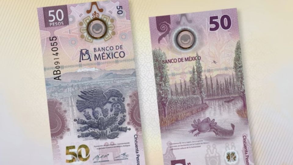 Esta es la colección de billetes que se vende en más de 10 millones de pesos.