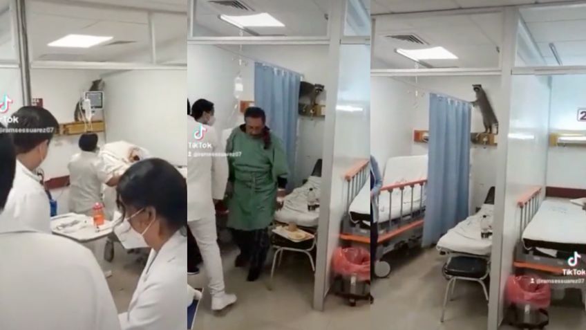 Mapaches invaden hospital del ISSSTE y sorprenden a médicos y pacientes: VIDEO VIRAL