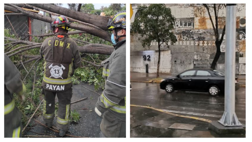 Fuertes lluvias en la CDMX causan estragos: hay caída de árboles, bardas y choques | FOTOS Y VIDEO