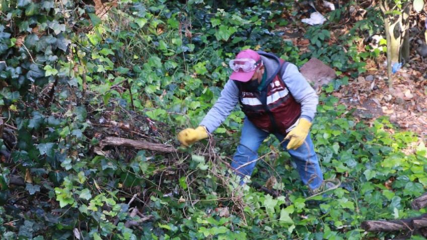 CDMX: Retiran 32 toneladas de residuos en barrancas de cuatro alcaldías