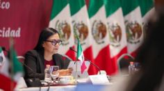 En México, la política de bienestar para personas con discapacidad se centra en el combate a la pobreza: Ariadna Montiel