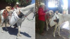 Abuelito lleva en caballo a su perrita para esterilizarla desde la comunidad de El Rincón y se vuelve viral | FOTO