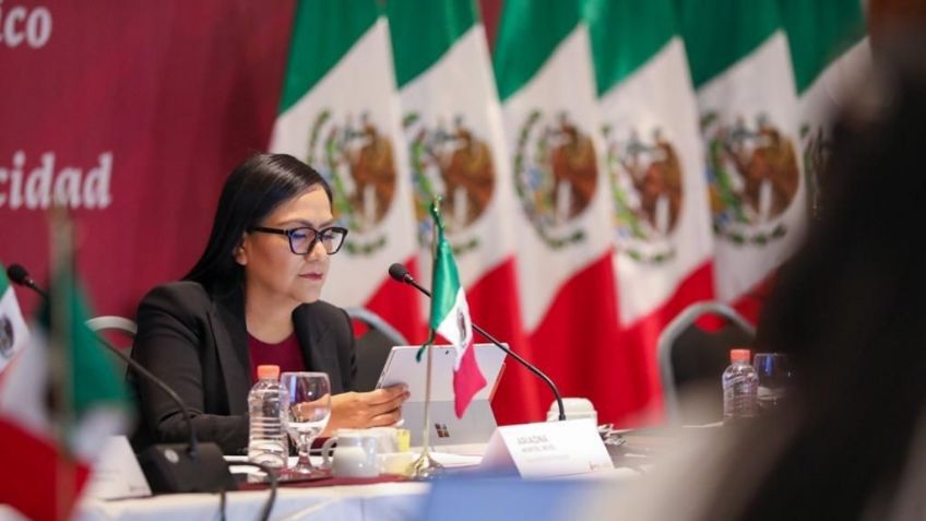 En México, la política de bienestar para personas con discapacidad se centra en el combate a la pobreza: Ariadna Montiel