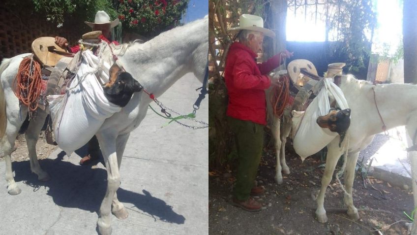 Abuelito lleva en caballo a su perrita para esterilizarla desde la comunidad de El Rincón y se vuelve viral | FOTO