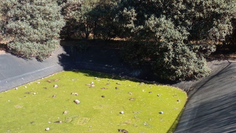 Imagen del hallazgo proprocionada por el Ayuntamiento de Amencameca.