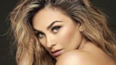 Aracely Arámbula es la actriz más atrevida; enciende la red con pronunciado escote | FOTO